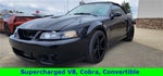 2004 Ford Mustang Cobra Supercharged