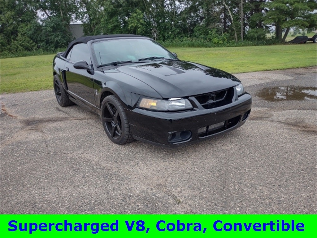 Used 2004 Ford Mustang Cobra SVT with VIN 1FAFP49Y44F224614 for sale in Park Rapids, Minnesota