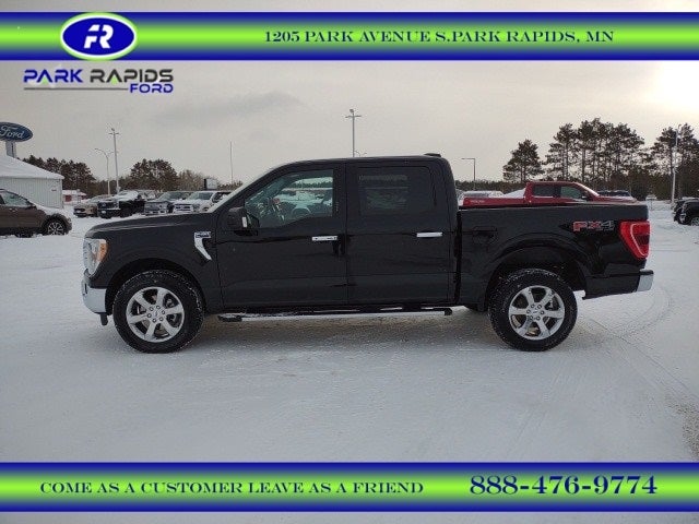 Used 2021 Ford F-150 XLT with VIN 1FTFW1E85MFA08711 for sale in Park Rapids, Minnesota