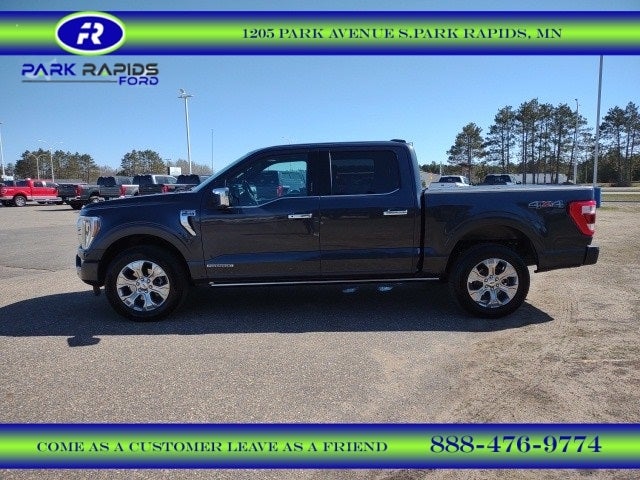 Used 2021 Ford F-150 Platinum with VIN 1FTFW1ED4MFA85793 for sale in Park Rapids, Minnesota